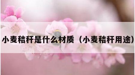 小麦秸秆是什么材质（小麦秸秆用途）
