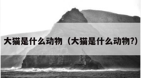 大猫是什么动物（大猫是什么动物?）