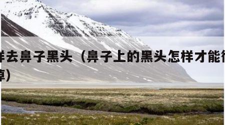 怎样去鼻子黑头（鼻子上的黑头怎样才能彻底去掉）