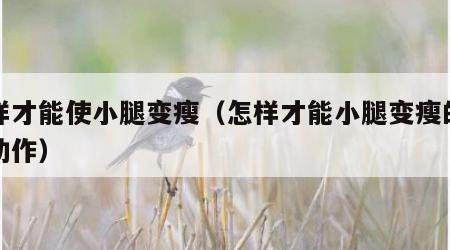怎样才能使小腿变瘦（怎样才能小腿变瘦的方法动作）