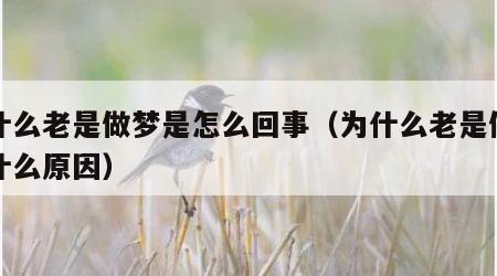 为什么老是做梦是怎么回事（为什么老是做梦是什么原因）