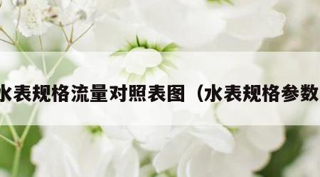 水表规格流量对照表图（水表规格参数）