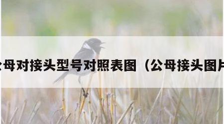 公母对接头型号对照表图（公母接头图片）