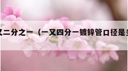 一又二分之一（一又四分一镀锌管口径是多少）