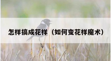 怎样搞成花样（如何变花样魔术）