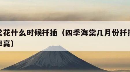 海棠花什么时候扦插（四季海棠几月份扦插成活率高）