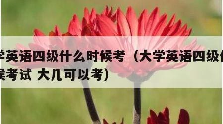 大学英语四级什么时候考（大学英语四级什么时候考试 大几可以考）