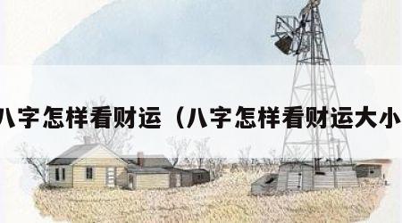 八字怎样看财运（八字怎样看财运大小）
