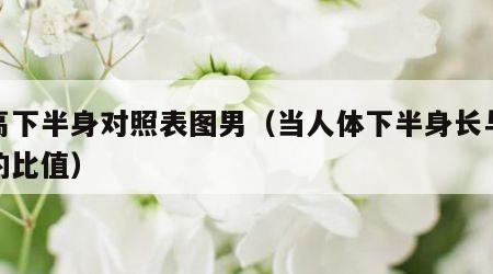 身高下半身对照表图男（当人体下半身长与身高的比值）