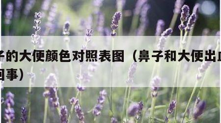 鼻子的大便颜色对照表图（鼻子和大便出血怎么回事）