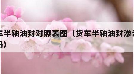 货车半轴油封对照表图（货车半轴油封渗油要紧吗）
