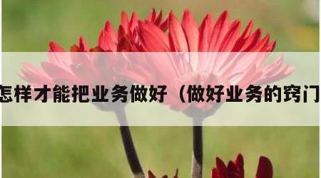 怎样才能把业务做好（做好业务的窍门）