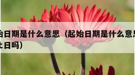 起始日期是什么意思（起始日期是什么意思包终止日吗）