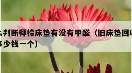 怎么判断椰棕床垫有没有甲醛（旧床垫回收大概多少钱一个）