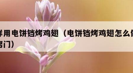 怎样用电饼铛烤鸡翅（电饼铛烤鸡翅怎么做好吃窍门）