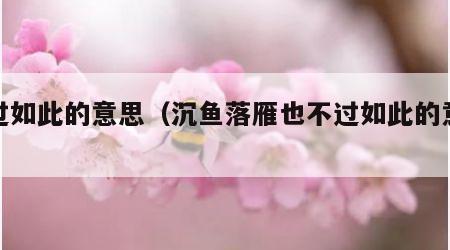 不过如此的意思（沉鱼落雁也不过如此的意思）
