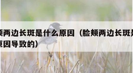 脸颊两边长斑是什么原因（脸颊两边长斑是什么原因导致的）
