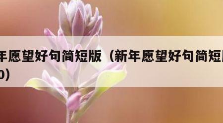 新年愿望好句简短版（新年愿望好句简短版2020）