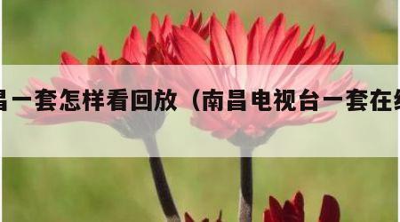 南昌一套怎样看回放（南昌电视台一套在线直播）