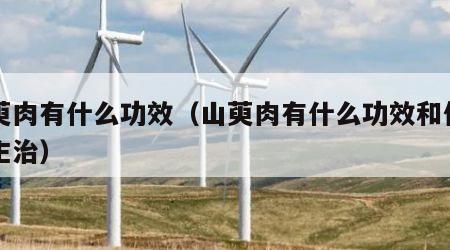 山萸肉有什么功效（山萸肉有什么功效和作用与主治）