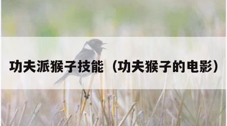 功夫派猴子技能（功夫猴子的电影）