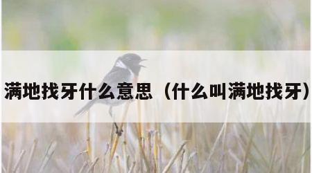 满地找牙什么意思（什么叫满地找牙）