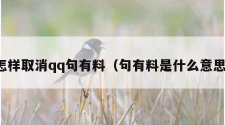 怎样取消qq句有料（句有料是什么意思）