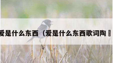 爱是什么东西（爱是什么东西歌词陶喆）