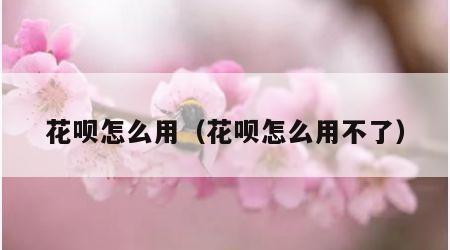 花呗怎么用（花呗怎么用不了）