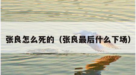 张良怎么死的（张良最后什么下场）