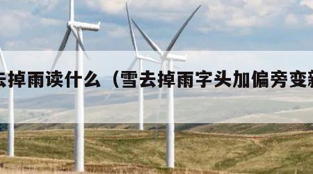 雪去掉雨读什么（雪去掉雨字头加偏旁变新字）