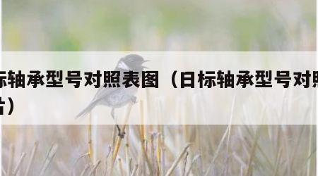 日标轴承型号对照表图（日标轴承型号对照表图片）