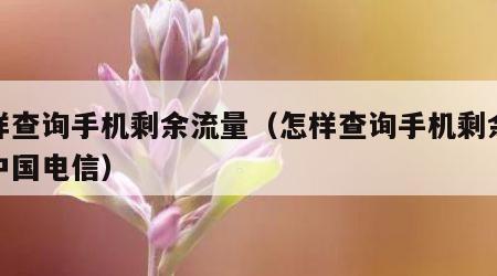 怎样查询手机剩余流量（怎样查询手机剩余流量中国电信）