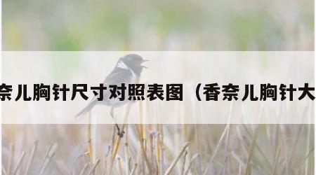 香奈儿胸针尺寸对照表图（香奈儿胸针大全）