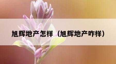 旭辉地产怎样（旭辉地产咋样）