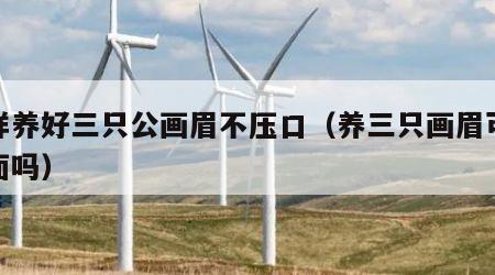 怎样养好三只公画眉不压口（养三只画眉可以见面吗）