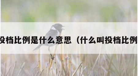 投档比例是什么意思（什么叫投档比例）