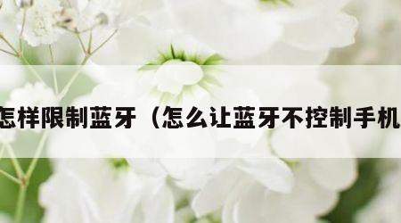 怎样限制蓝牙（怎么让蓝牙不控制手机）