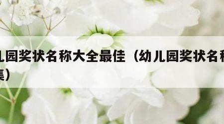 幼儿园奖状名称大全最佳（幼儿园奖状名称大全集）