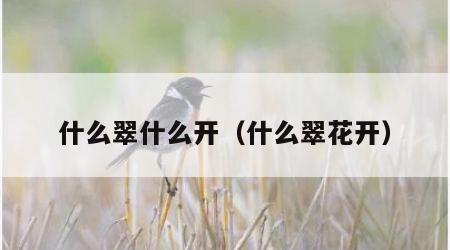 什么翠什么开（什么翠花开）
