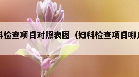 妇科检查项目对照表图（妇科检查项目哪几项）