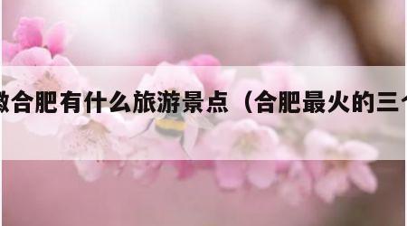安徽合肥有什么旅游景点（合肥最火的三个地方）