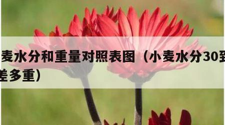 小麦水分和重量对照表图（小麦水分30到13差多重）