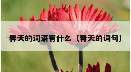 春天的词语有什么（春天的词句）