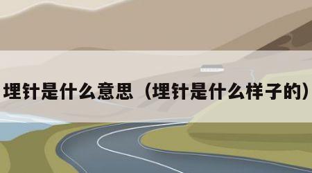 埋针是什么意思（埋针是什么样子的）