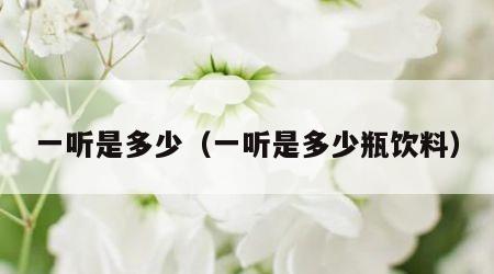 一听是多少（一听是多少瓶饮料）