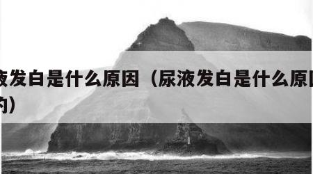 尿液发白是什么原因（尿液发白是什么原因引起的）