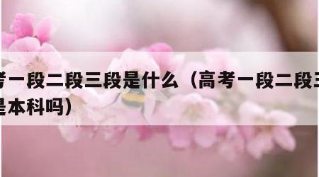 高考一段二段三段是什么（高考一段二段三段都是本科吗）