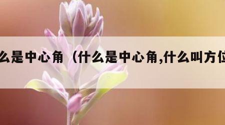 什么是中心角（什么是中心角,什么叫方位角）