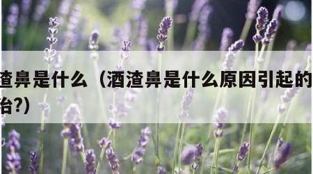 酒渣鼻是什么（酒渣鼻是什么原因引起的,怎么治?）